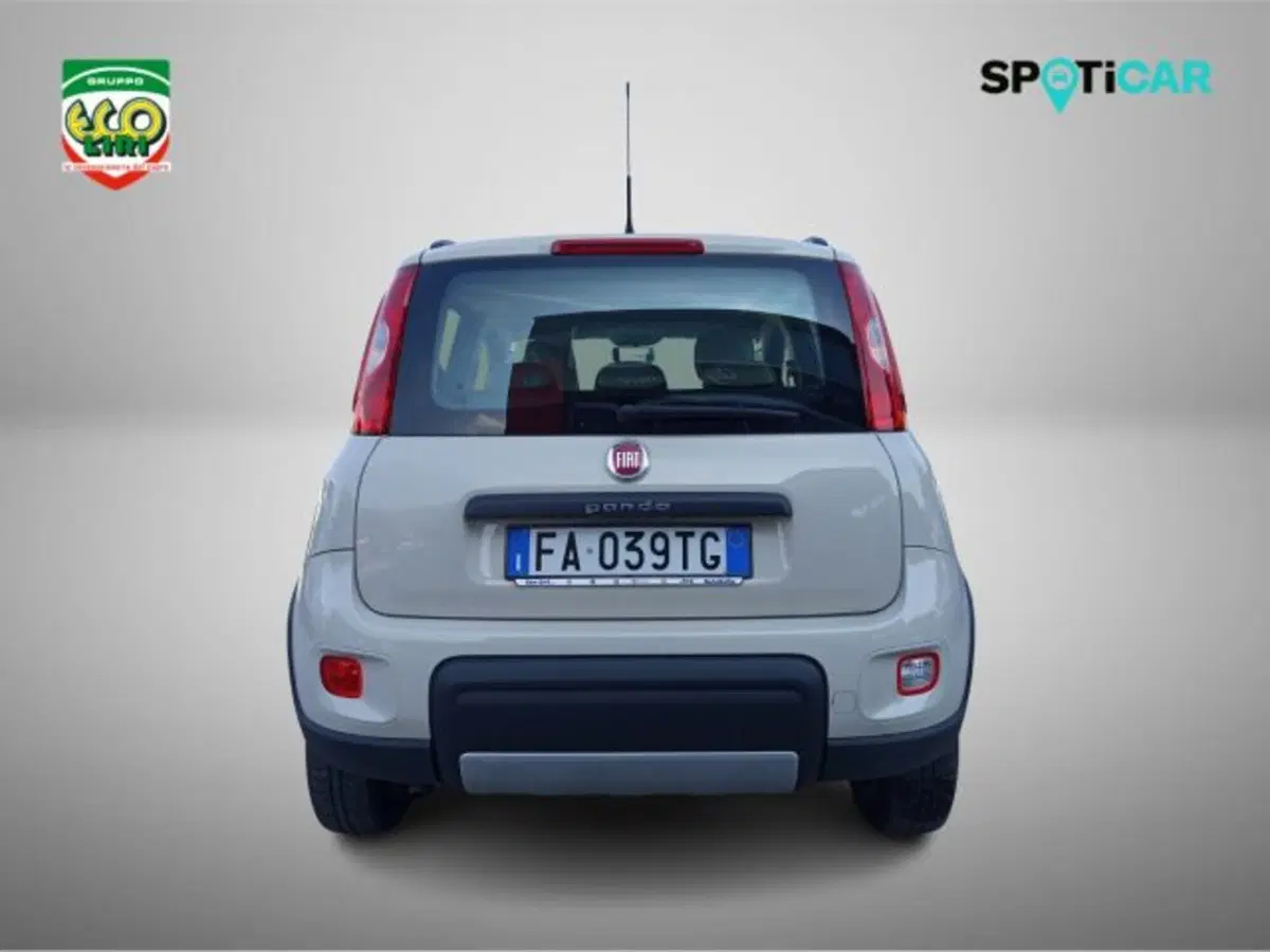 Fiat Panda Cross usata a Frosinone (5)