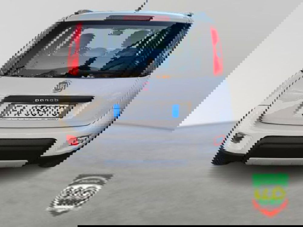 Fiat Panda Cross usata a Frosinone (5)