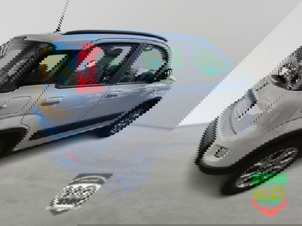 Fiat Panda Cross usata a Frosinone (6)