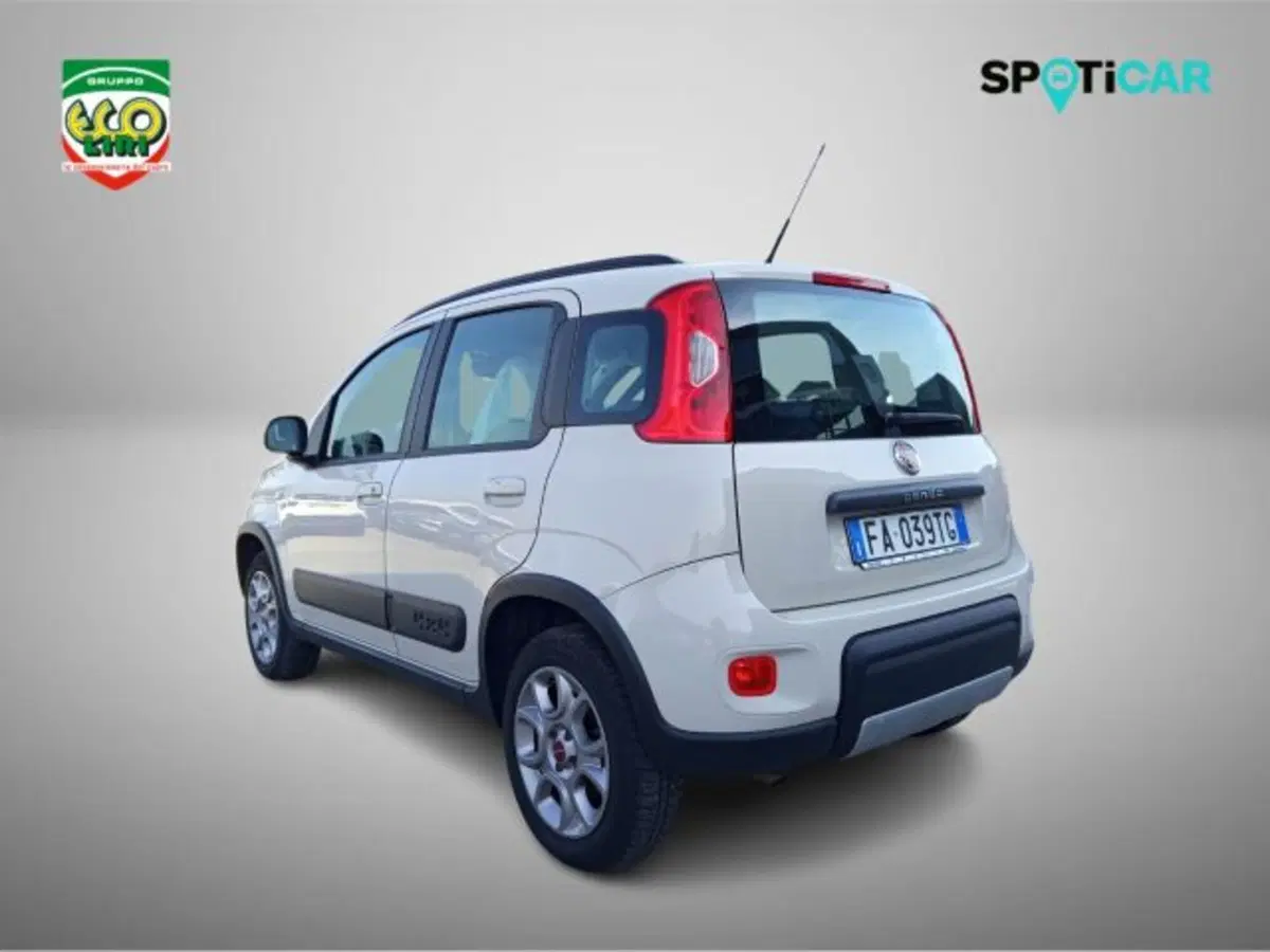 Fiat Panda Cross usata a Frosinone (7)