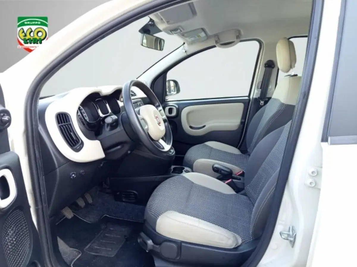 Fiat Panda Cross usata a Frosinone (8)