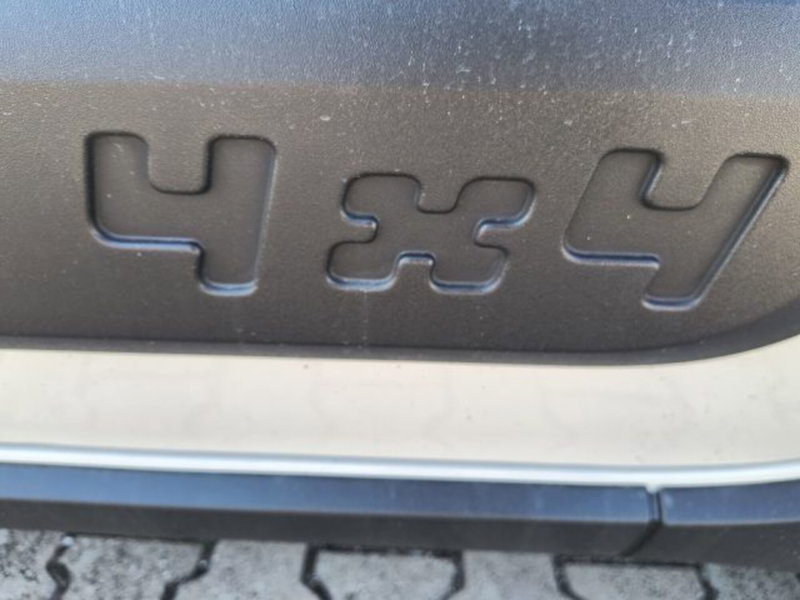 Fiat Panda Cross usata a Frosinone (9)