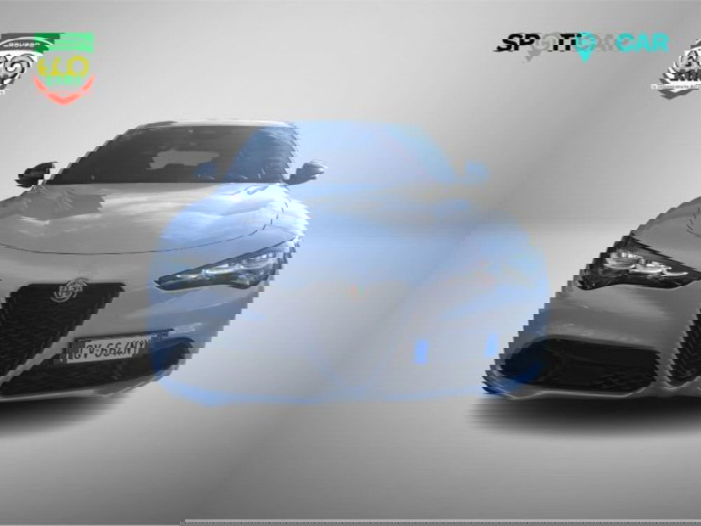 Alfa Romeo Stelvio usata a Frosinone (2)