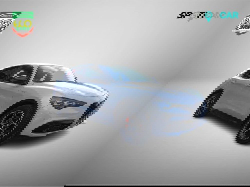 Alfa Romeo Stelvio usata a Frosinone (3)