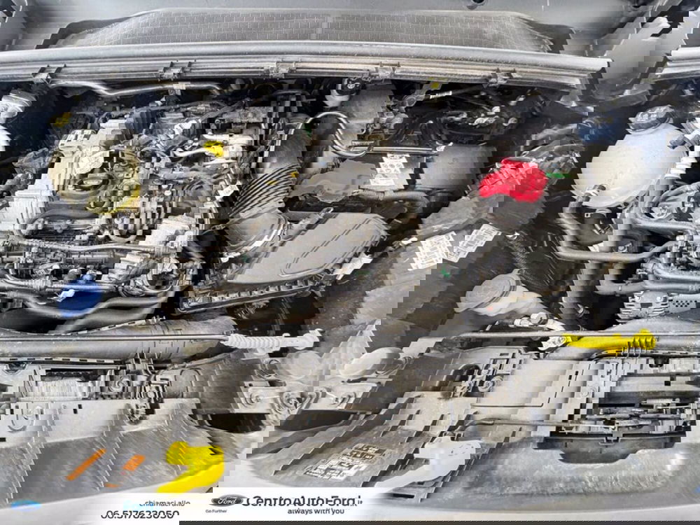 Ford Puma usata a Roma (12)