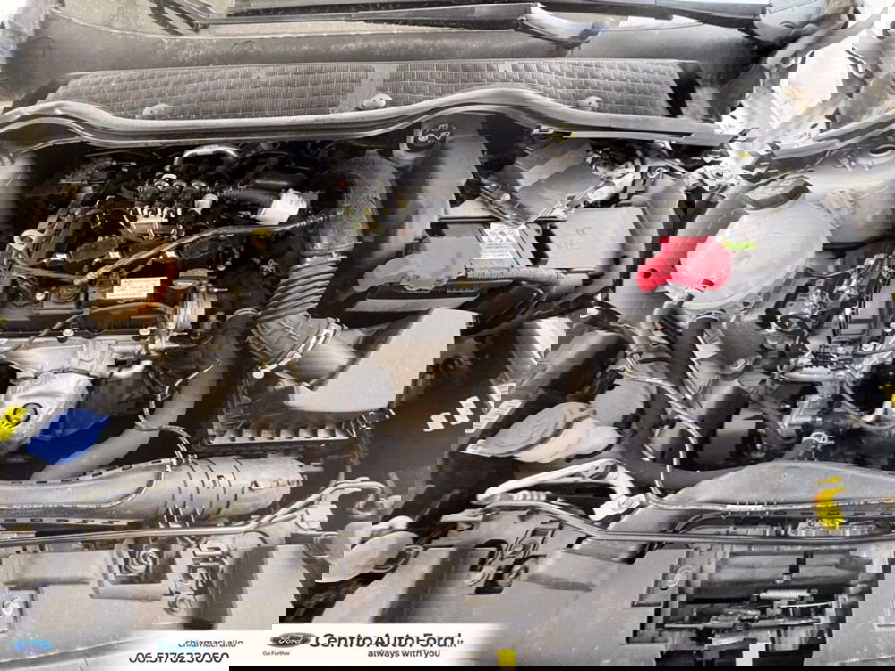 Ford Fiesta usata a Roma (12)