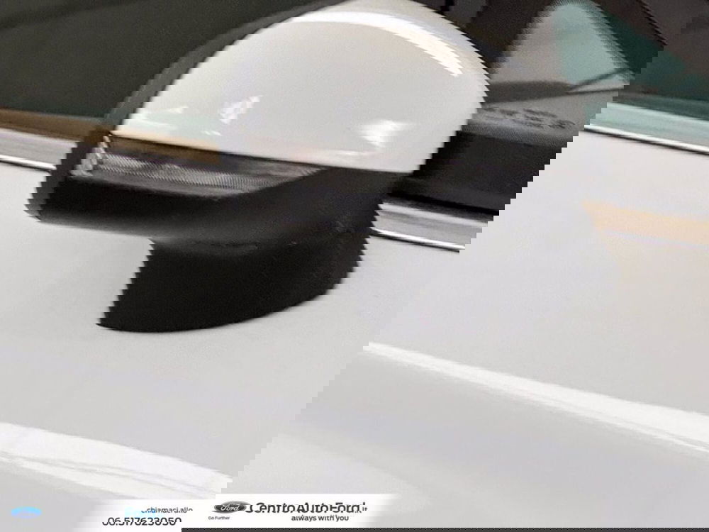 Ford Fiesta usata a Roma (15)