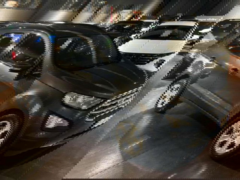 Ford EcoSport usata a Pesaro-Urbino