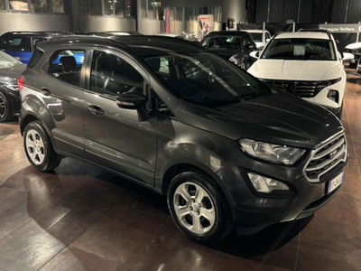Ford EcoSport 1.5 TDCi 100 CV Start&amp;Stop Business del 2018 usata a Pesaro