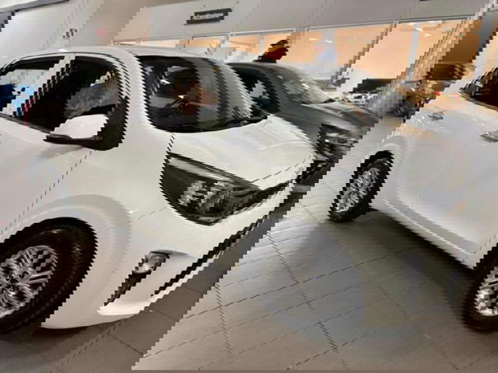 Kia Picanto usata a Pesaro-Urbino