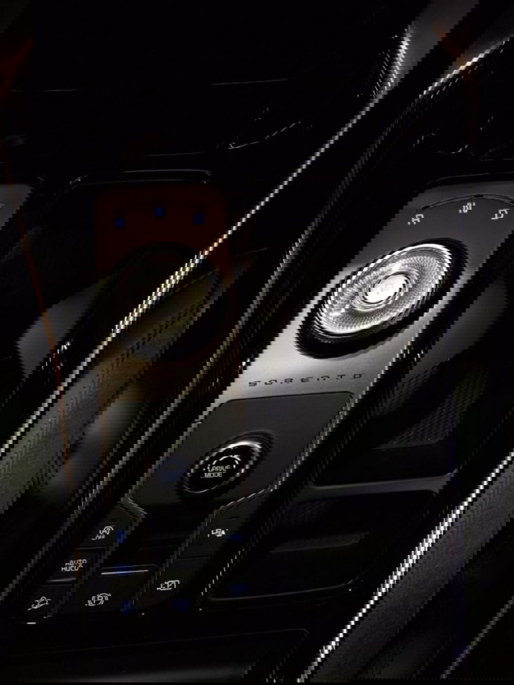 Kia Sorento usata a Vicenza (14)