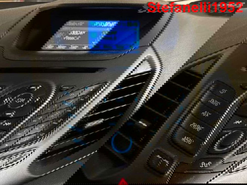 Ford EcoSport usata a Bologna (18)