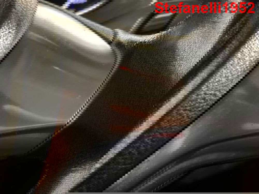 Ford EcoSport usata a Bologna (19)