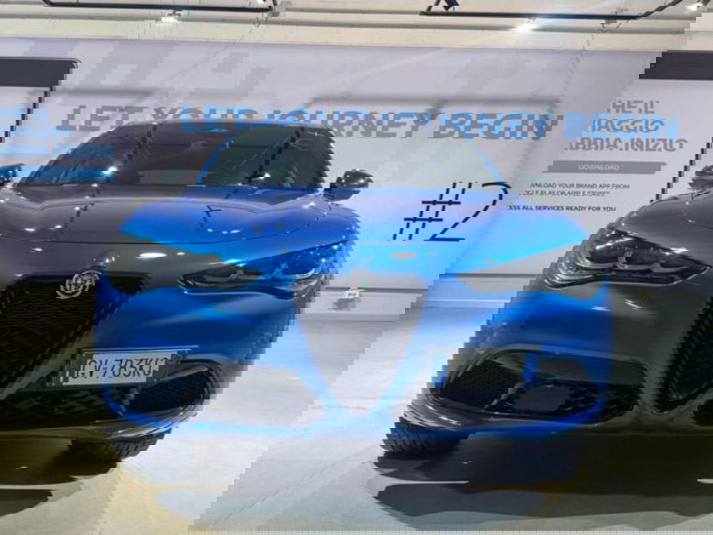 Alfa Romeo Stelvio usata a Vercelli (2)