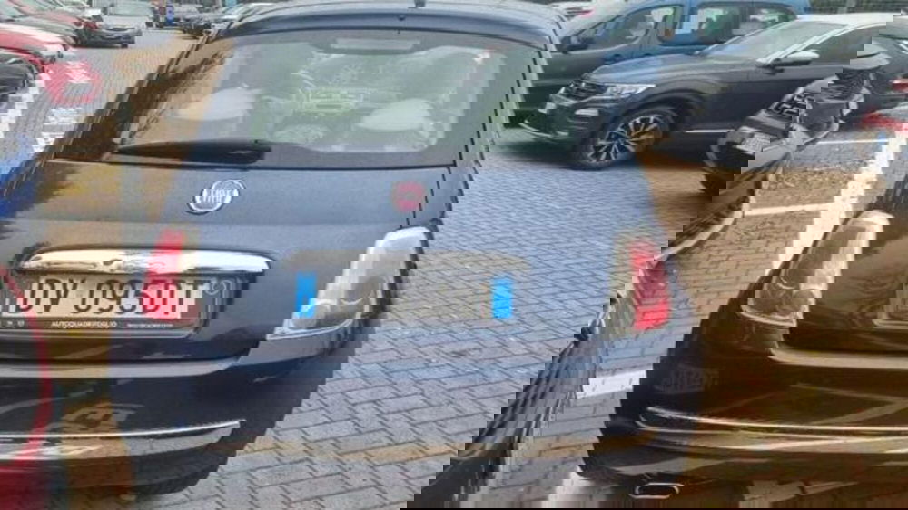 Fiat 500 usata a Savona (13)