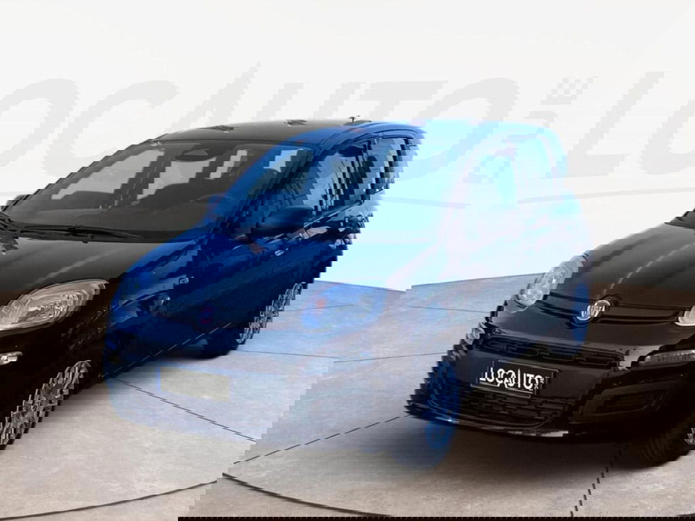 Fiat Pandina nuova a Torino