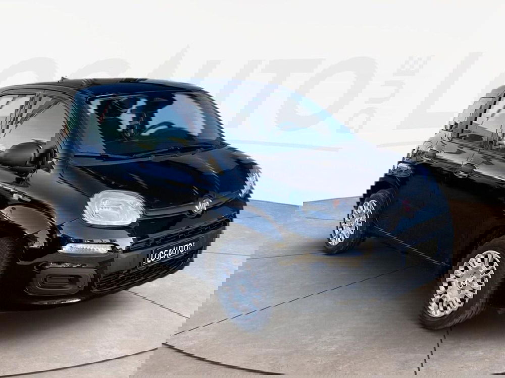 Fiat Pandina nuova a Torino (3)