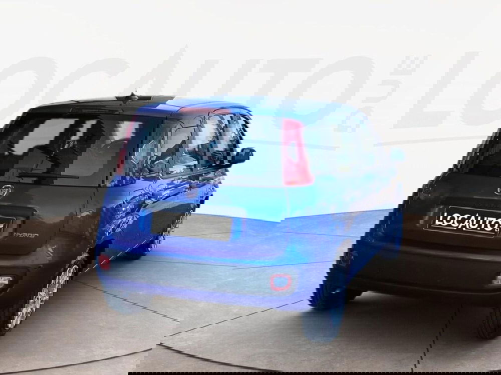 Fiat Pandina nuova a Torino (4)