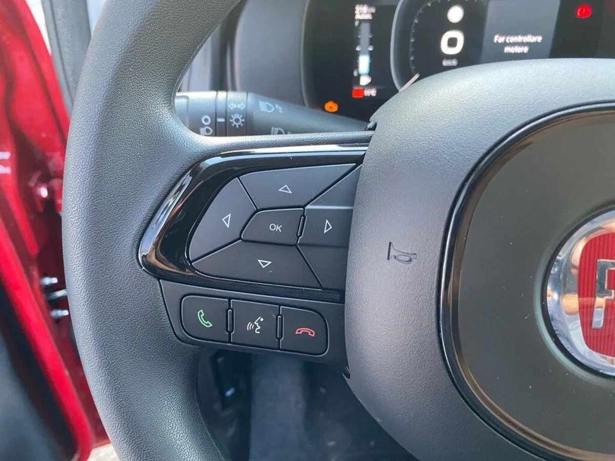 Fiat Pandina nuova a Torino (12)