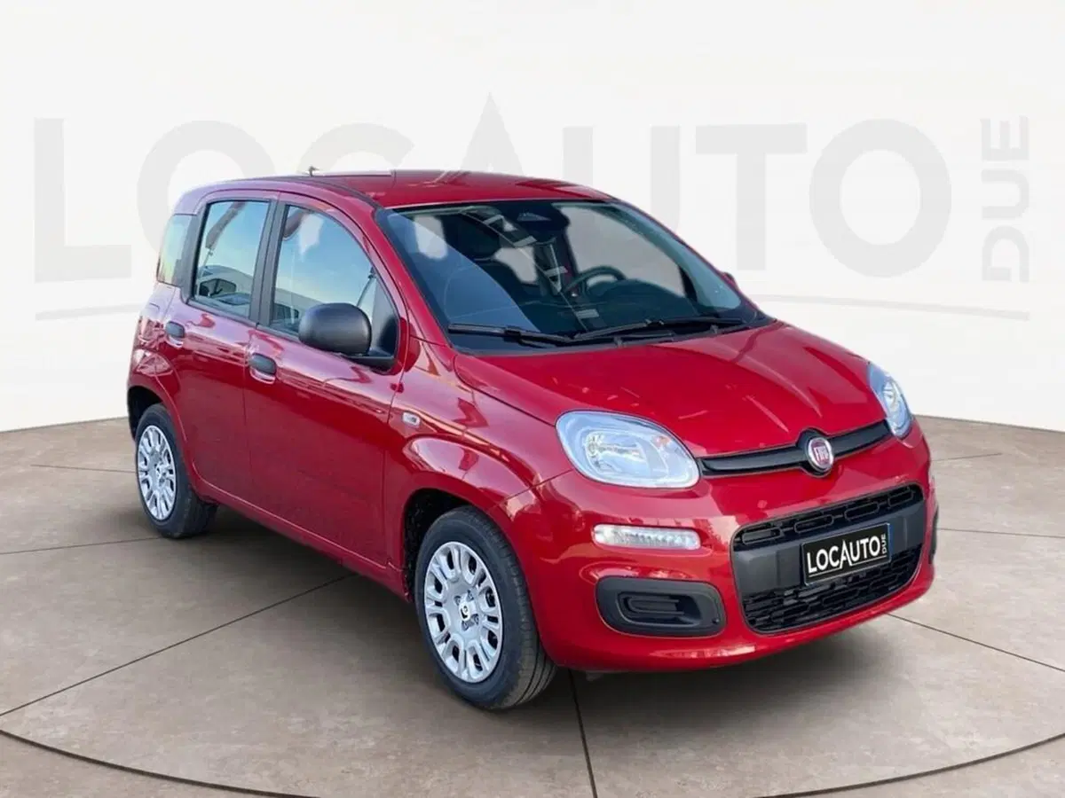 Fiat Pandina nuova a Torino (3)
