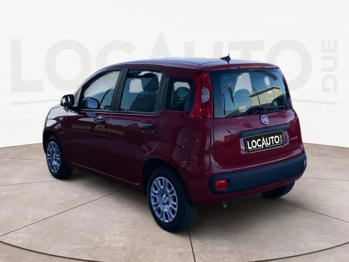 Fiat Pandina nuova a Torino (5)