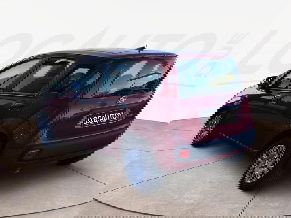 Fiat Pandina nuova a Torino (5)