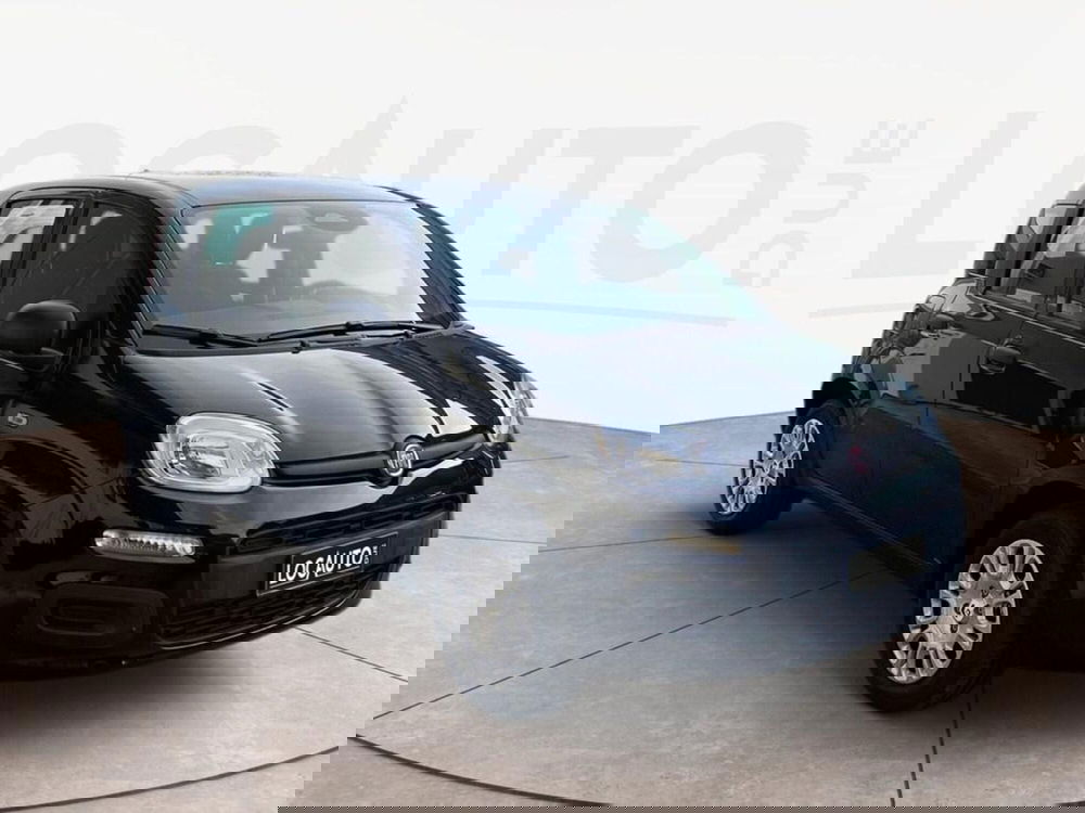 Fiat Pandina nuova a Torino (3)