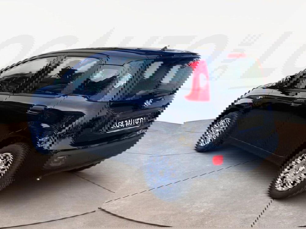 Fiat Pandina nuova a Torino (5)