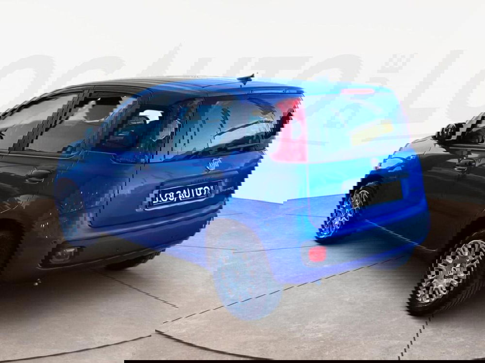 Fiat Pandina nuova a Torino (5)