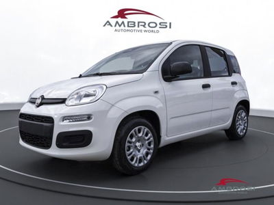Fiat Panda 1.0 firefly hybrid Pop s&amp;s 70cv nuova a Corciano