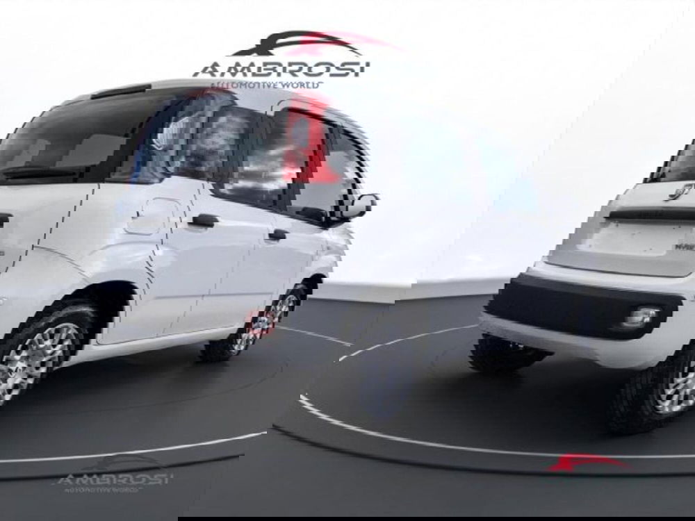 Fiat Panda nuova a Perugia (3)