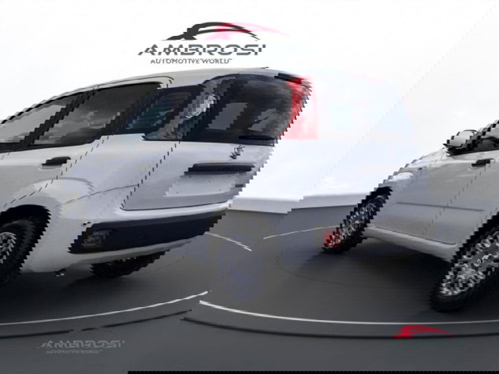 Fiat Panda nuova a Perugia (4)