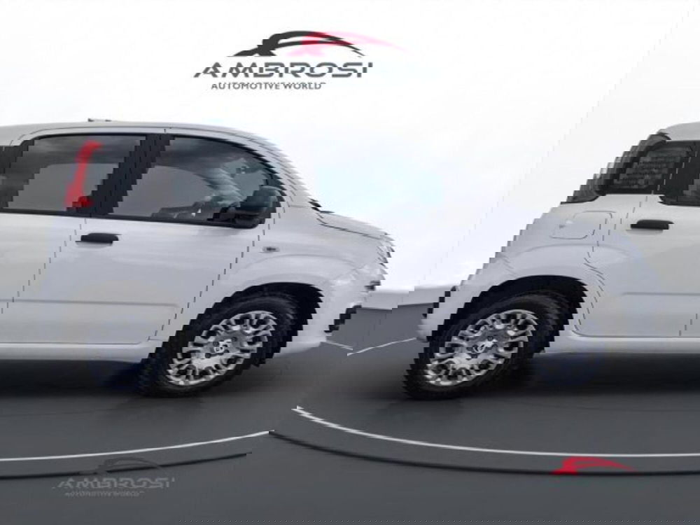 Fiat Panda nuova a Perugia (5)