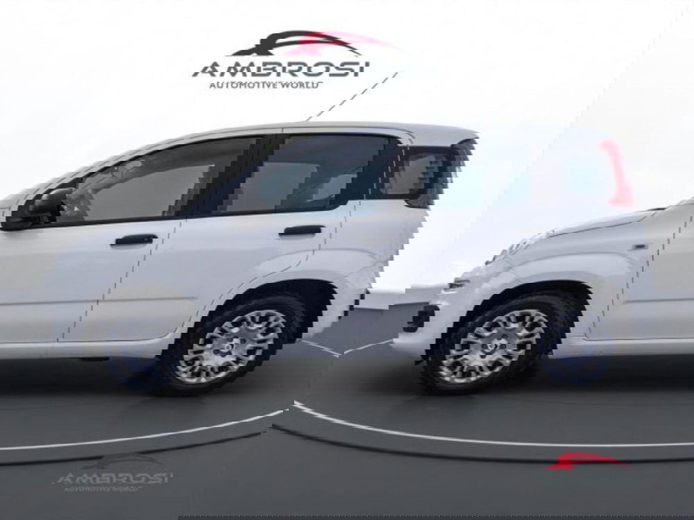 Fiat Panda nuova a Perugia (6)