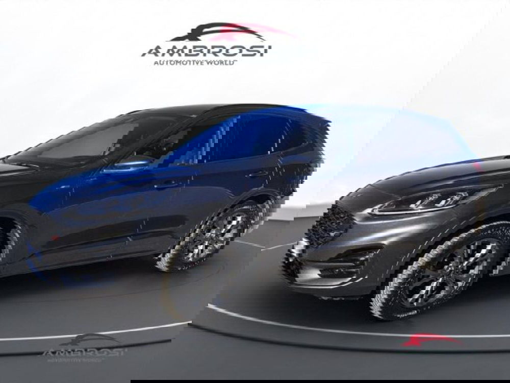 Ford Kuga usata a Perugia