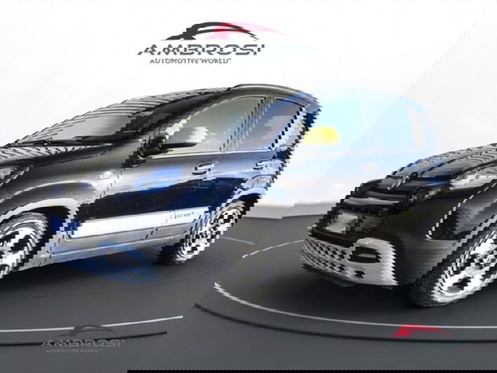 Fiat Panda Cross usata a Perugia