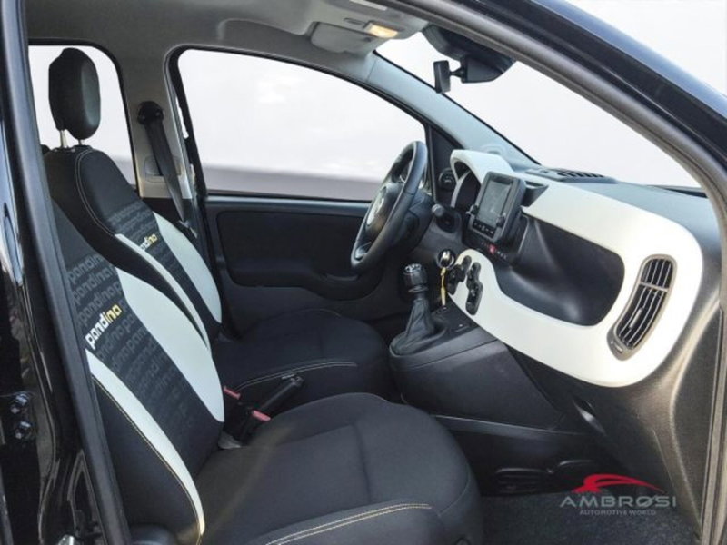 Fiat Panda Cross usata a Perugia (6)
