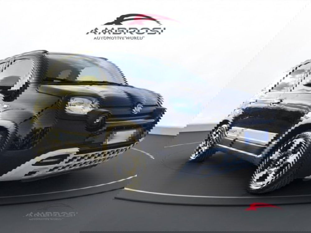 Fiat Panda Cross usata a Perugia (2)