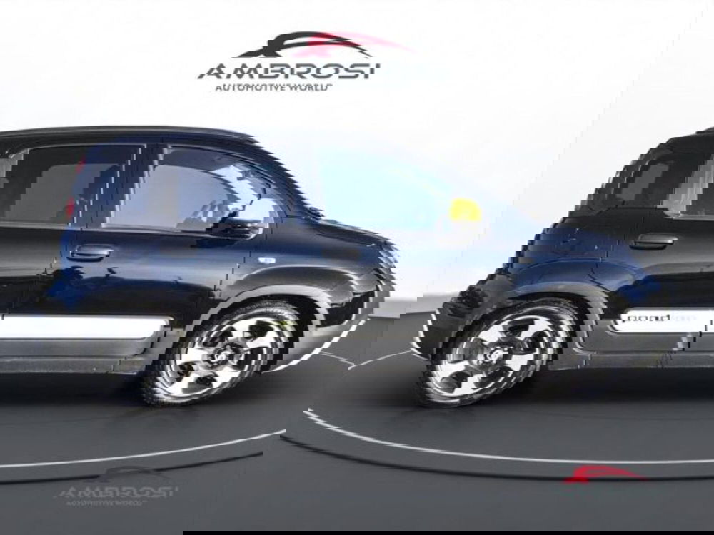 Fiat Panda Cross usata a Perugia (5)