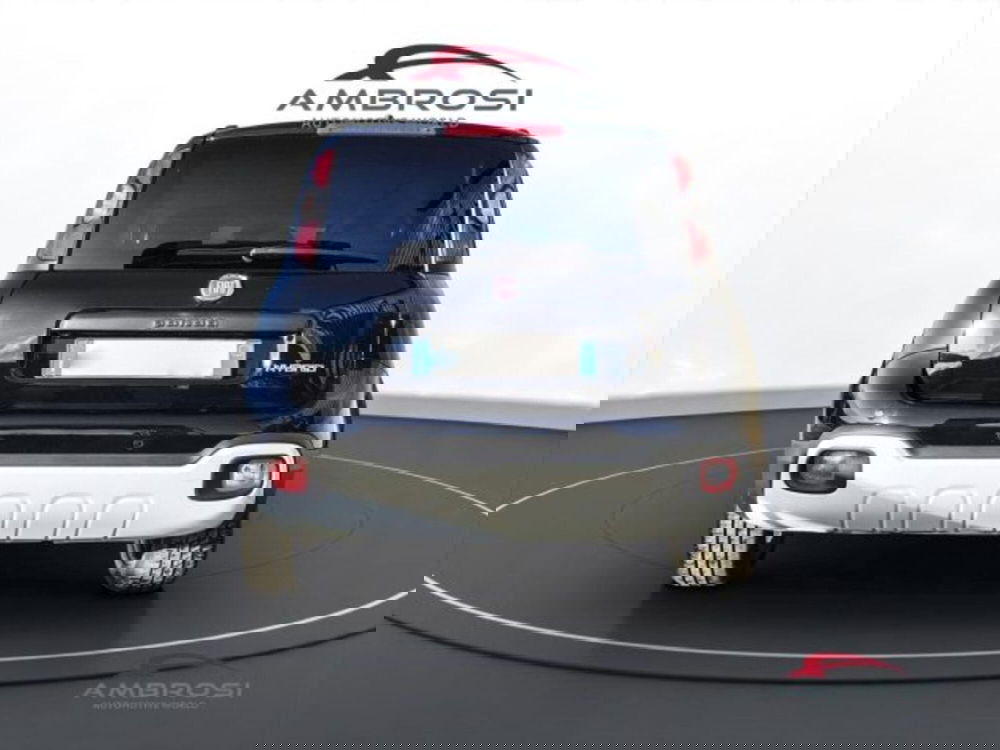 Fiat Panda Cross usata a Perugia (8)