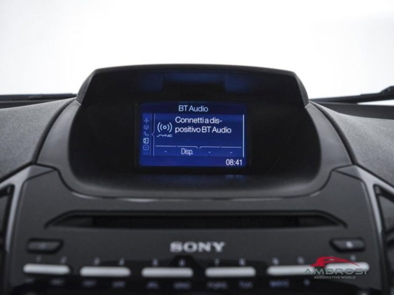 Ford EcoSport usata a Perugia (14)