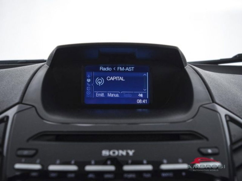 Ford EcoSport usata a Perugia (15)