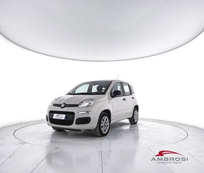 Fiat Panda 0.9 TwinAir Turbo Natural Power Easy del 2015 usata a Corciano
