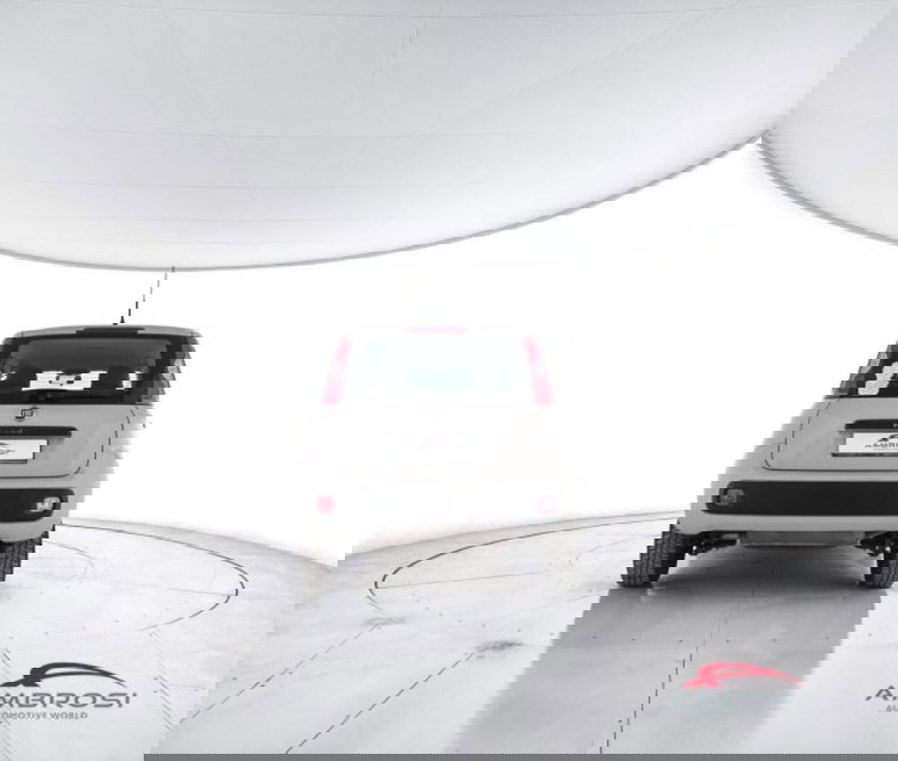 Fiat Panda usata a Perugia (6)