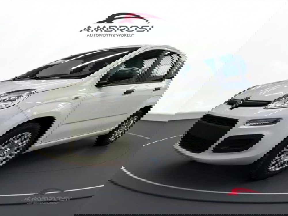 Fiat Panda nuova a Perugia