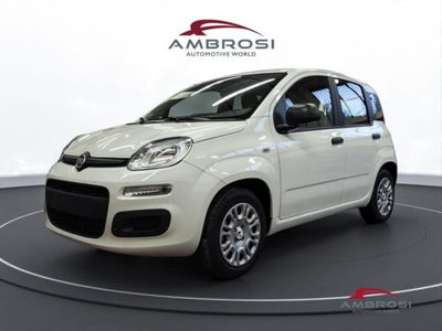 Fiat Panda 1.0 firefly hybrid s&amp;s 70cv 5p.ti nuova a Corciano