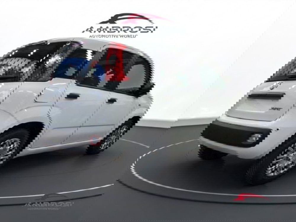 Fiat Panda nuova a Perugia (3)