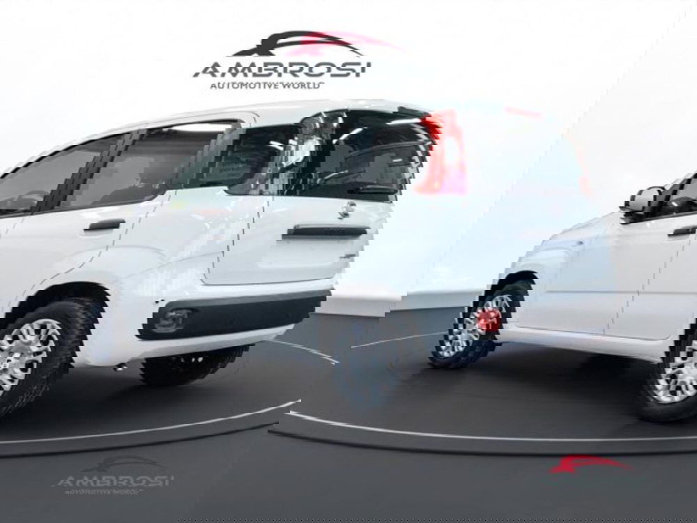 Fiat Panda nuova a Perugia (4)