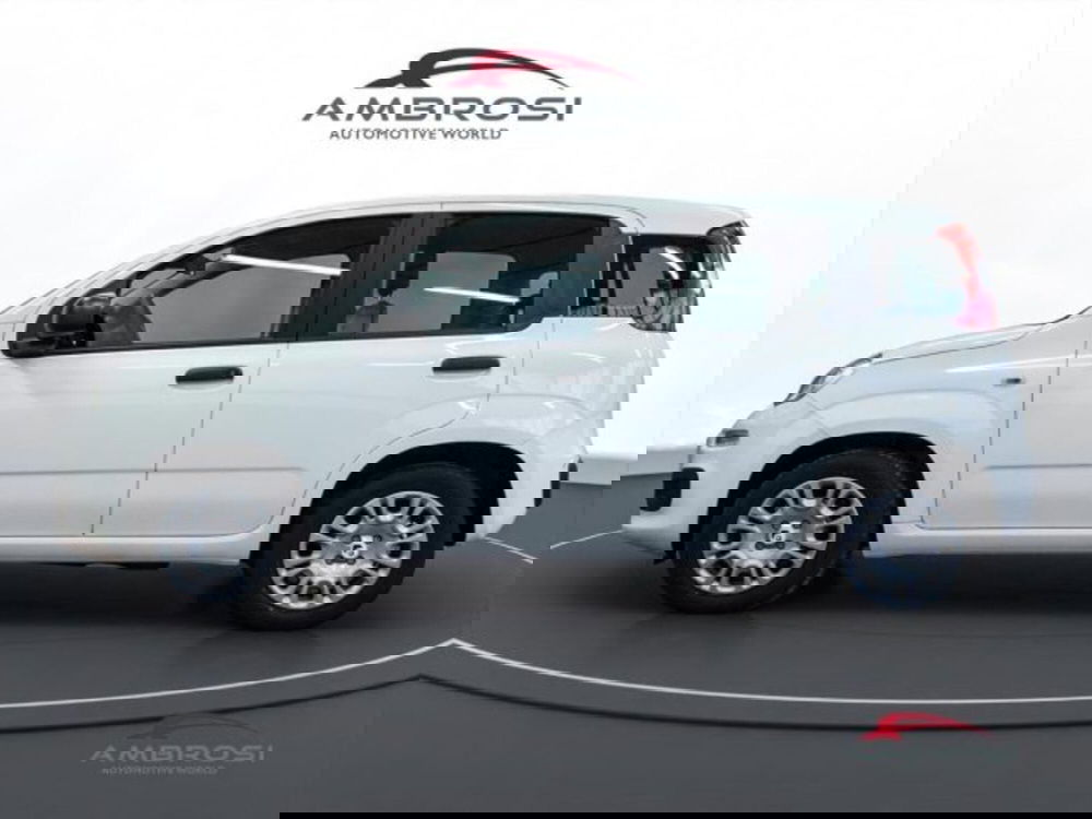 Fiat Panda nuova a Perugia (6)