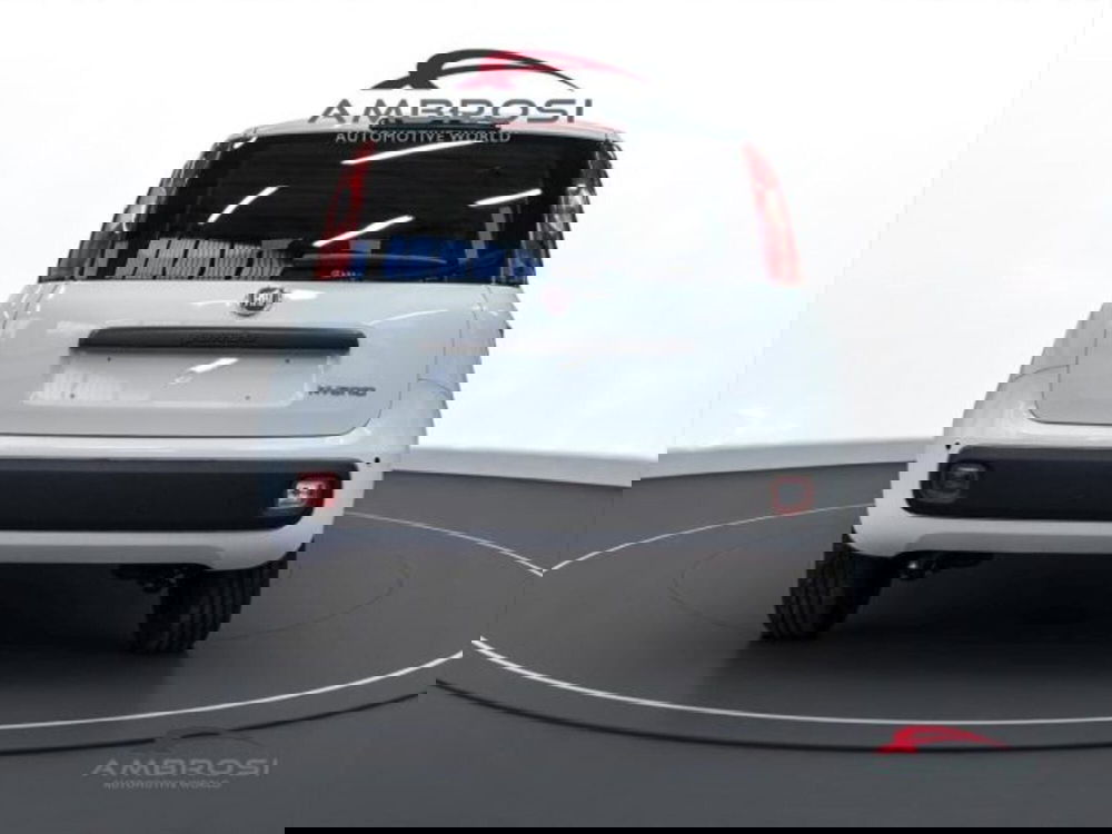 Fiat Panda nuova a Perugia (8)